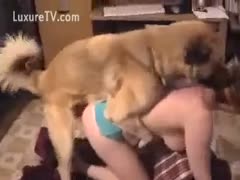 Assertive one time shy messy horny white wife getting nailed by big dog in this home bestiality clip